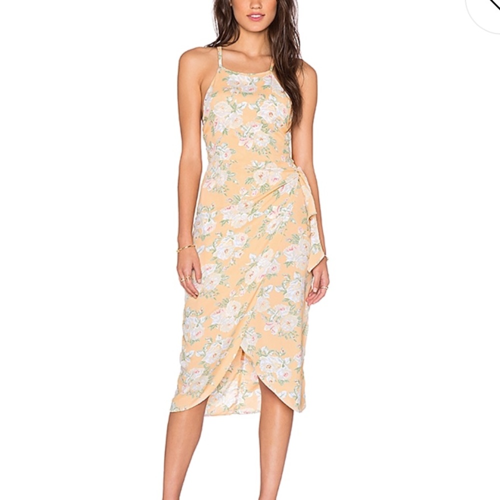 Privacy Please Nassau Dress